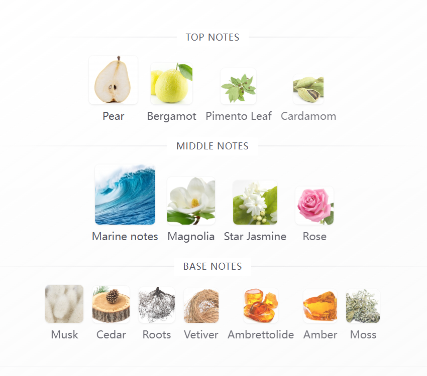 Greenpoint 100ML