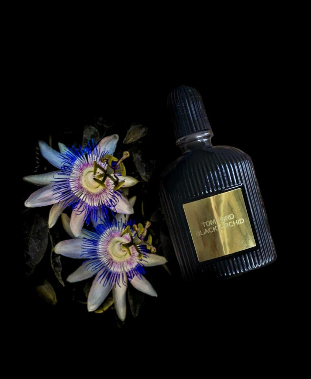 Black Orchid  Eau De Parfum